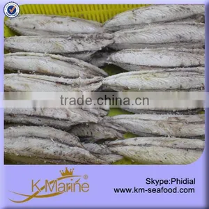 Fresh Frozen Tuna Loin thumbnail-2