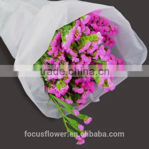 First Class Pink Statice Export Without Middleman For Home Decoration thumbnail-2
