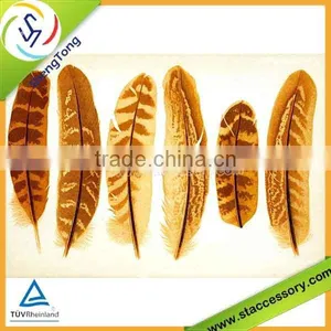 Colorful Wholesale Chicken Feather thumbnail-1