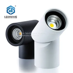 Surface Mounted Adjustable Downlight thumbnail-1