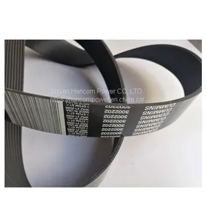 Hot Sale K19 K38 K50 Diesel Engine Fan Belt 3002202 thumbnail-1