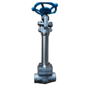 ANSI Forged Globe Valve Designed for Oil and Gas Pipelines Featuring API 598 Testing Compliance thumbnail-1