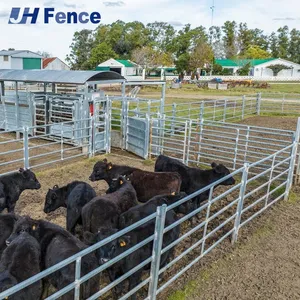 Metal Portable Ranch Fence Panel for Cattle Yards and Livestock thumbnail-5