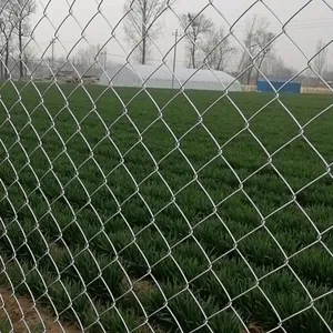 Galvanized Chain Link Fence With 2.5mm Wire Diameter for Industrial Security thumbnail-1