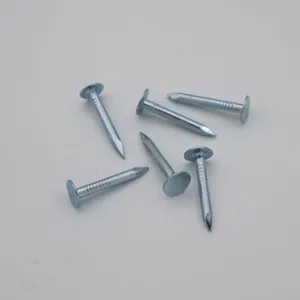 China Factory Direct Flat Head Roofing Nails 25kg Bulk for Roofing Projects thumbnail-5