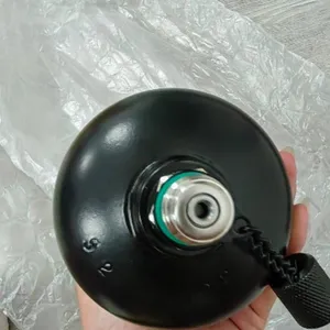 Hydraulic Diaphragm Type Gxq Accumulator 2.5l/0.32/0.75/1l Nitrogen Tank, Alternative to Hydac thumbnail-2