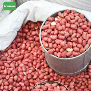 Direct Factory Bright Red Skin Red Coat Peanuts 50/60 for Ingredient Distribution Commercial Pack thumbnail-5