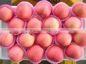 Chinese Fuji Apple Packed in 20kg Carton thumbnail-1