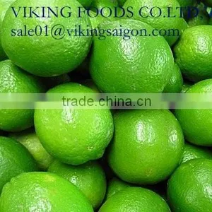 FRESH SEEDLESS LIME_GOOD QUALITY FROM VIET NAM thumbnail-3