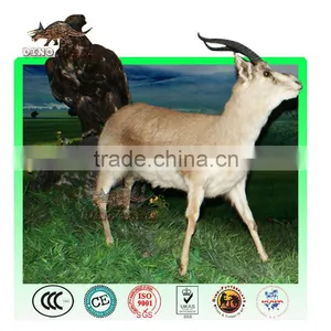Animatronic Gazelle Model thumbnail-1