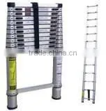 Telescopic Ladder thumbnail-1