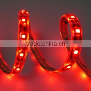 CE&ROHS Certification Waterproof Ip68 3528 Ribbon SMD Lamp,2 Years Warranty thumbnail-2