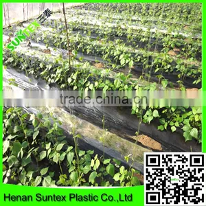 China Manufacture Offer Thin Plastic Mulch Film/agricultural Plastic Clear Mulch Film thumbnail-2