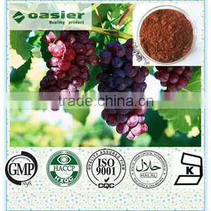 Natural Grape Seed Extract (high Orac Value) thumbnail-1