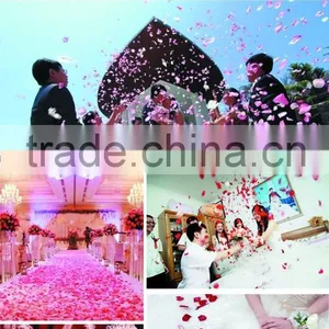 Hot Selling China New Coming Dried Flower Tea Bath Tea Spa Flower Tea Wedding Flower Dried Rose Petals Flower Blossom thumbnail-2