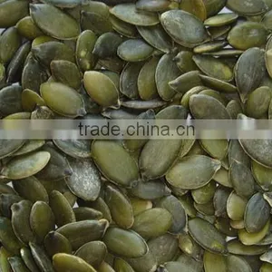 Light Green Pumpkin Seeds thumbnail-3
