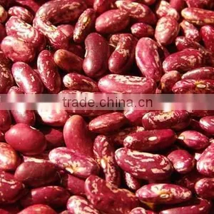 Red Specked Kidney Beans thumbnail-1