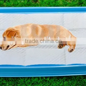 High Quality Yinjing Disposable Pet Pad thumbnail-1