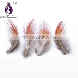 Red Head Pheasant Feather Plume for Headware Craft Hot Bulk Sale thumbnail-1