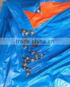 #3000 1.8x3.6m China Tarpaulin Roll Exported to Japan thumbnail-3