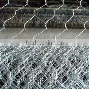 Green/ Black Pvc Coated Lowest Price Chicken Wire Mesh thumbnail-5