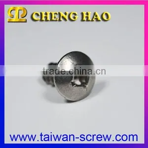 Phillips Truss Head Stainless Steel Screws thumbnail-1