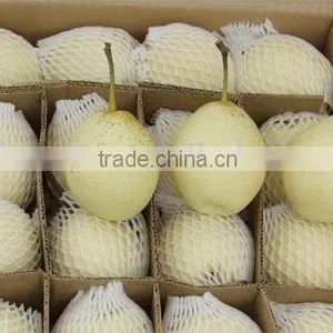 Pear thumbnail-1