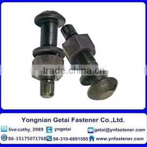 Sets of Torshear Type High Strength Bolt Hexagon Nuts and Plain Washer for Steel Structures thumbnail-2