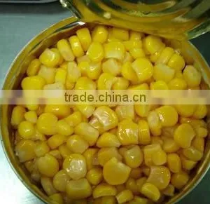 2016 New Canned Sweet Corn Factory Supplying High Quality thumbnail-5