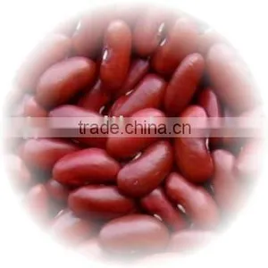 Red Kidney Bean thumbnail-1