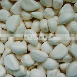 Good Qaulity IQF Peeled Garlic thumbnail-6