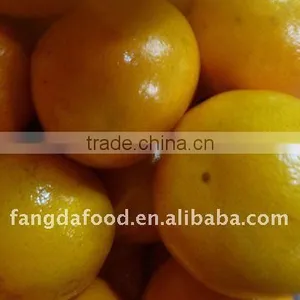 Chinese Fresh Orange for Sale thumbnail-1