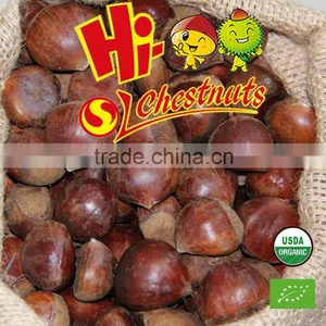 Hot Selling Big Size Chinese Chestnuts--Tai an Chestnuts thumbnail-1