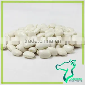 Nutritional Value Of White Kidney Beans Medium Size Square Shape White Kidney Beans thumbnail-4