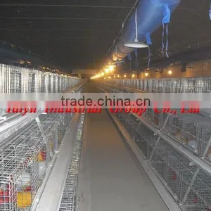 TAIYU Broiler Chicken Project thumbnail-1