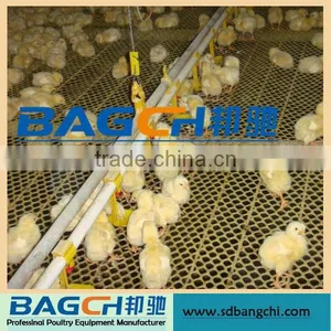 Shandong Controlled Poultry Feeders and Drinkers for Broiler House thumbnail-3