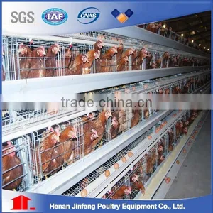 Poultry Farm Equipment A Frame Broiler Chicken Cage/poultry Cage/chicken Equipment thumbnail-2