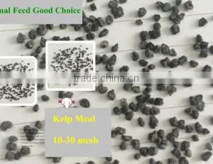 Cattle,Horse,Chicken,Dog,Pig,Fish Use Seaweed Powder Type Feed Grade Kelp Meal thumbnail-2