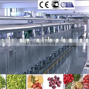 15m Stainless Steel Mesh Belt Commercial Tropical Fruits and Vegetables Dehydrator/drying Machine/dryer Hot Selling in Singapore thumbnail-1