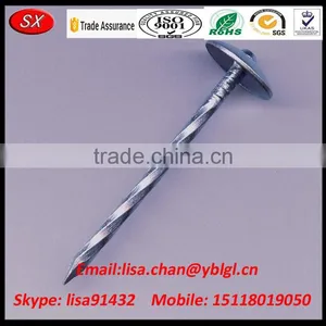 OEM/ODM Stainless Steel Roofing Nail With Umbrella Head thumbnail-3