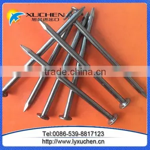 Common Iron Nails for Construction Usage thumbnail-6