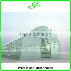 Plastic Film Cover Steel Frame Used Greenhouse thumbnail-6