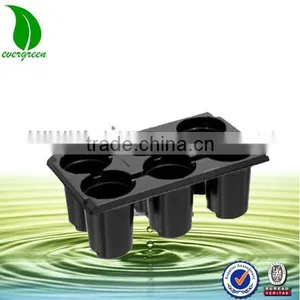 6 Cells Fruit Seed Tray thumbnail-1