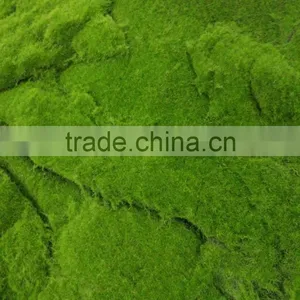 SJ141102 Artifiical Moss Carpet Mat for Garden Decoration thumbnail-2