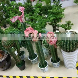 SJ30048945 Garden Decoration Plastic Artificial Cactus Plants thumbnail-1