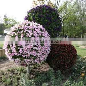 Landscape Big Ball Planters thumbnail-4