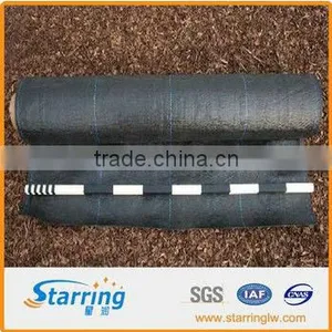 Steep Slope Reinforcement With Woven Geotextiles thumbnail-1