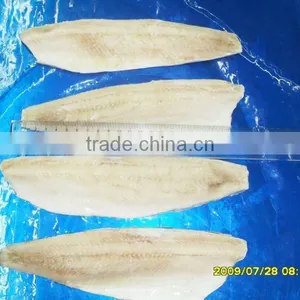 Frozen Herring Fish Fillets IQF thumbnail-1