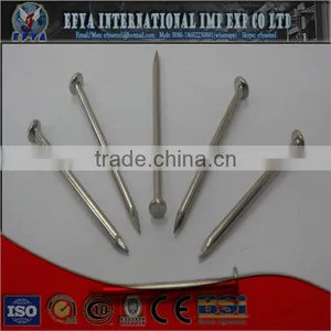 Common Nail thumbnail-1