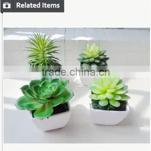 Artificial Succulent Home Decorative Tropical Plants Small Manufacturing Plant thumbnail-5